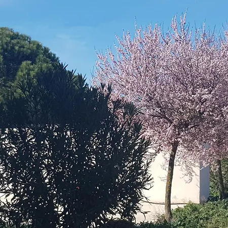 Domaine De L'outarde Canepetiere A Σπίτι διακοπών Aigues-Mortes