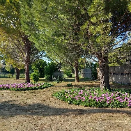Casa vacanze Domaine De L'outarde Canepetiére A Aigues-Mortes