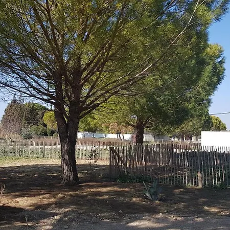 Holiday home Domaine De L'outarde Canepetiere A *