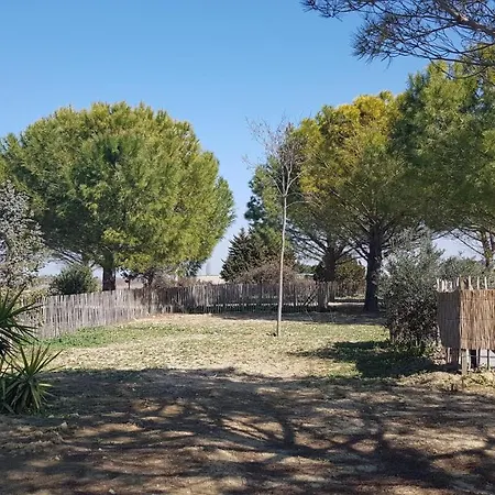 Domaine De L'outarde Canepetiere A Holiday home