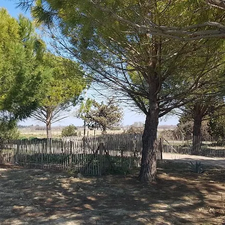 Holiday home Domaine De L'outarde Canepetiere A