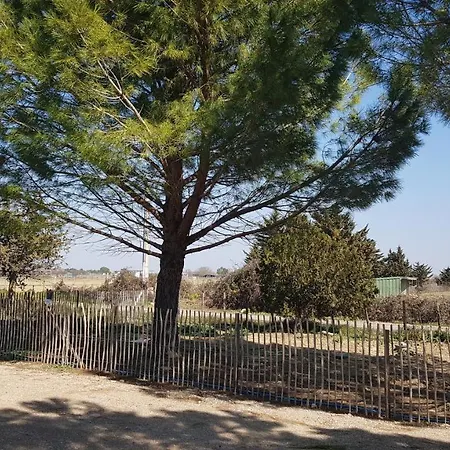 Domaine De L'outarde Canepetiere A Aigues-Mortes