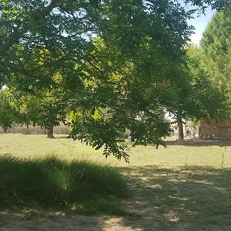 Feriehus Domaine De L'outarde Canepetiere A Aigues-Mortes