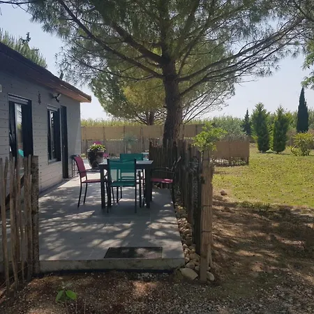 Holiday home Domaine De L'outarde Canepetiere A *