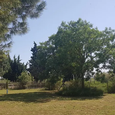 Domaine De L'outarde Canepetiere A Holiday home Aigues-Mortes
