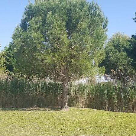 Holiday home Domaine De L'outarde Canepetiere A *