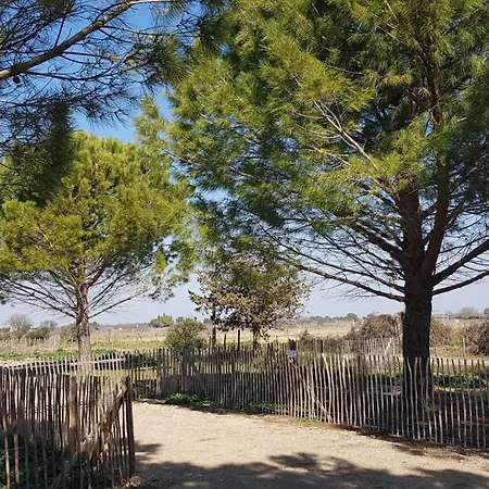 Domaine De L'outarde Canepetiere A Holiday home Aigues-Mortes