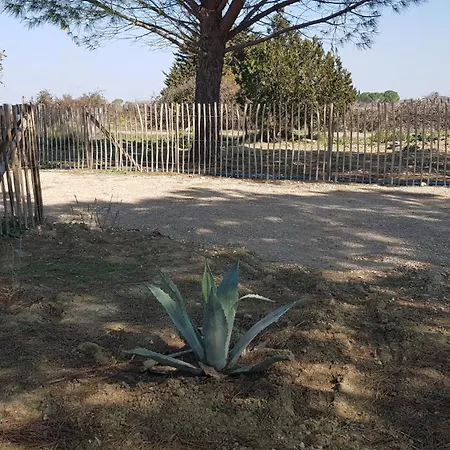 Vakantiehuis Domaine De L'outarde Canepetiere A Aigues-Mortes
