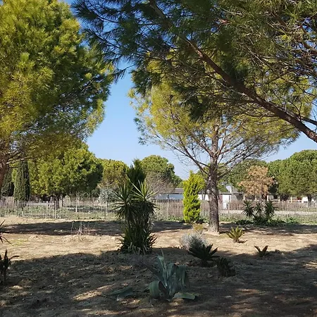 Domaine De L'outarde Canepetiere A * Aigues-Mortes