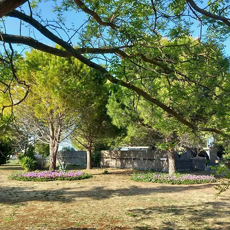 Domaine De L'outarde Canepetiere A * Aigues-Mortes