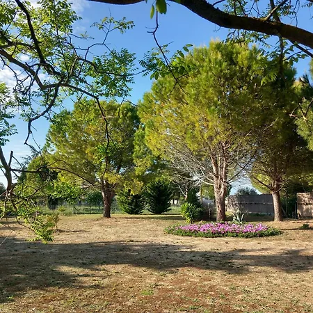 Hébergement de vacances Domaine De L'outarde Canepetiére A