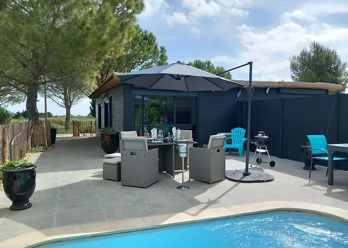 度假居 Domaine De L'outarde Canepetiere A *