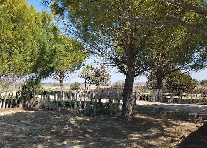 度假居 Domaine De L'outarde Canepetiere A