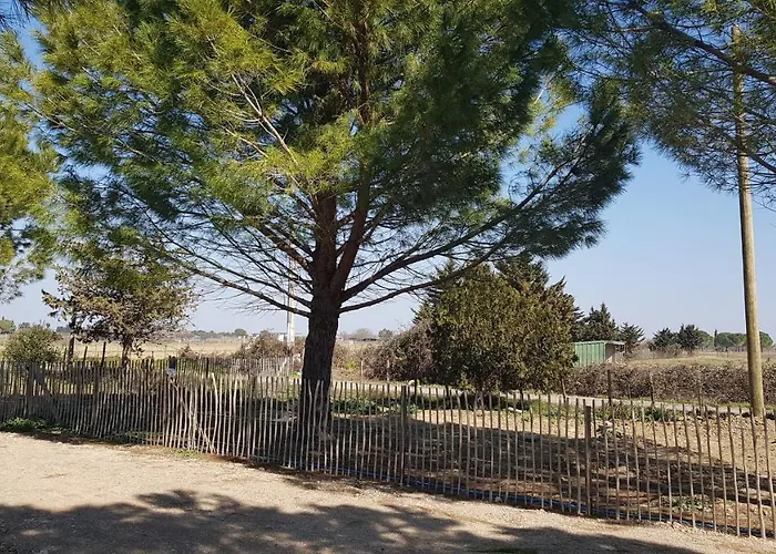 Domaine De L'outarde Canepetiere A 艾格-莫尔特